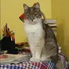 Отзыв от Анфиса Третьякова